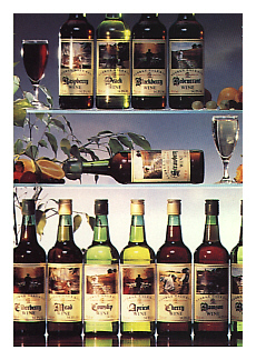 GalesFruit Wines - Offer